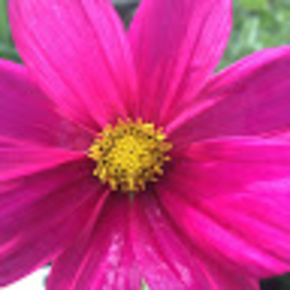 Meet your Posher, Ulrike - Picture 1 of 1